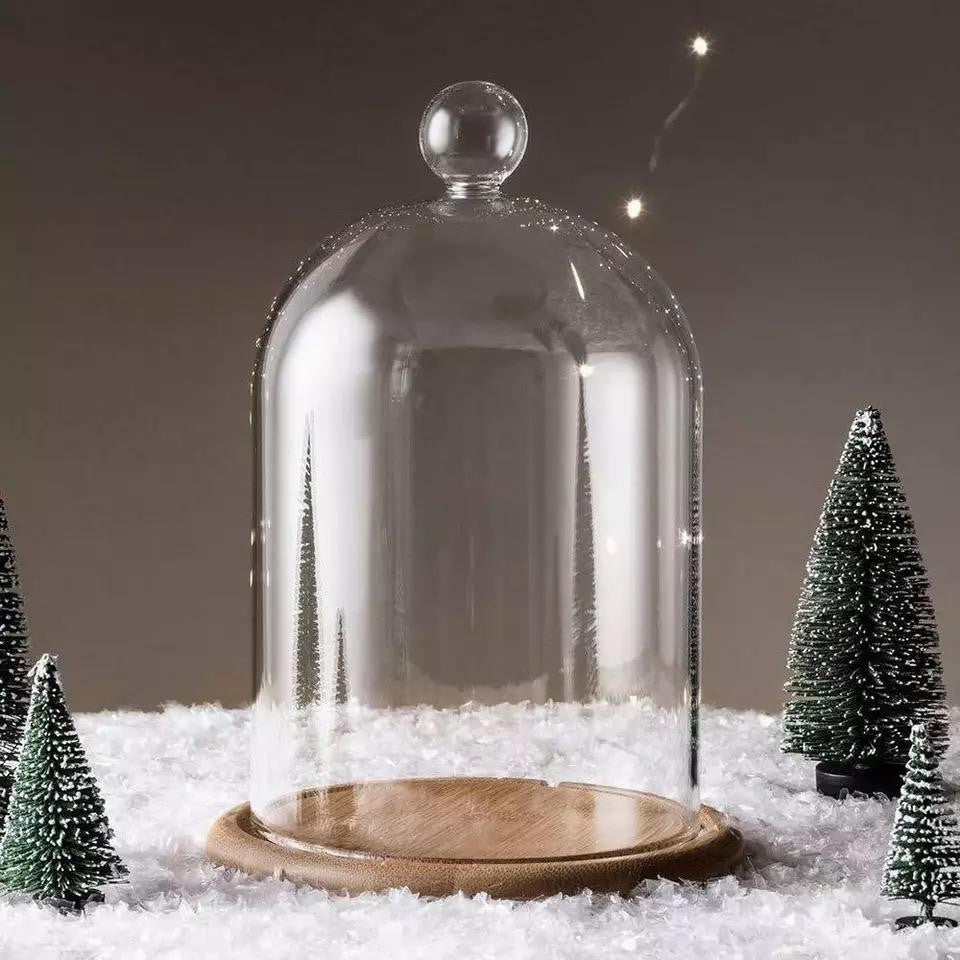 Cloche en verre YOKUSUKA avec base en bois H20CM