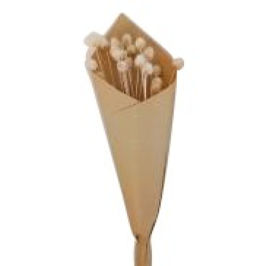 Bouquet de brindilles séché et emballé, 50g, H60-75 cm