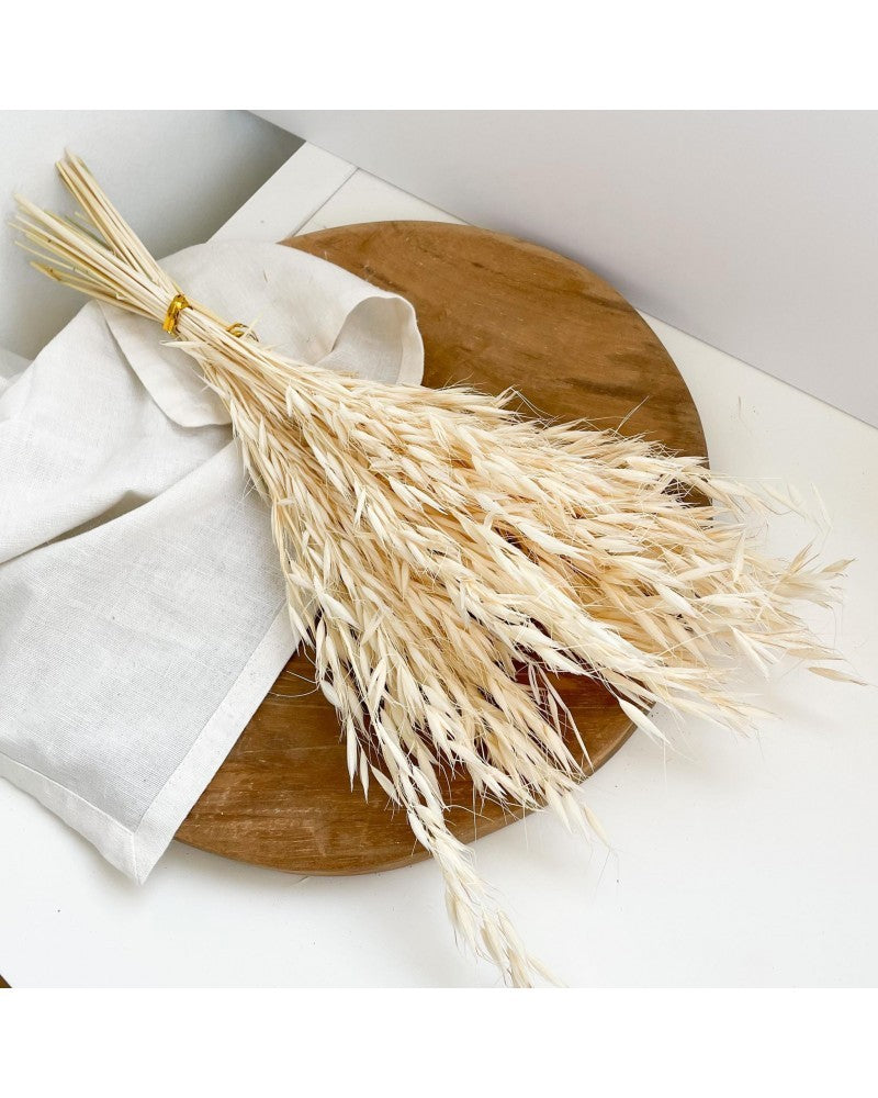 Bouquet d'avoine séché et emballé, 100g, H60-75cm