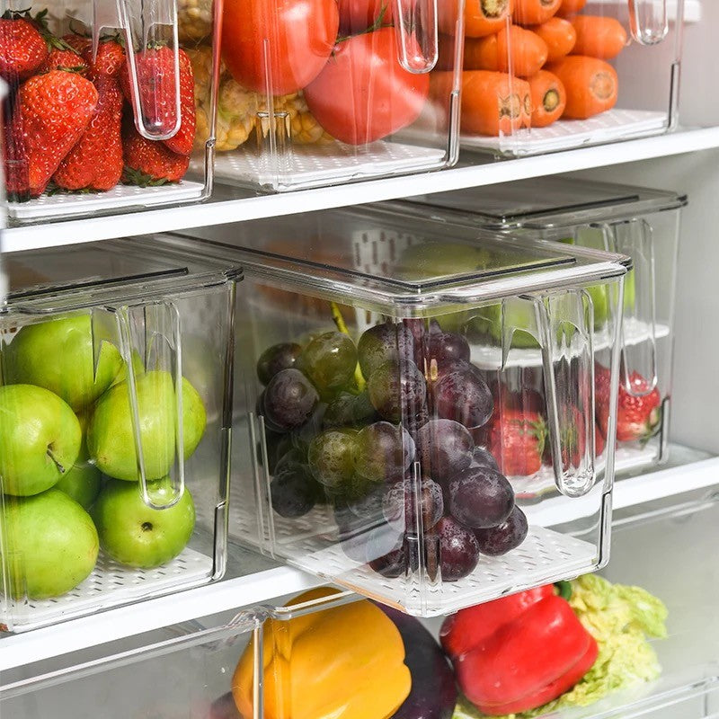 Organisateur de frigo 30x10xH10 cm