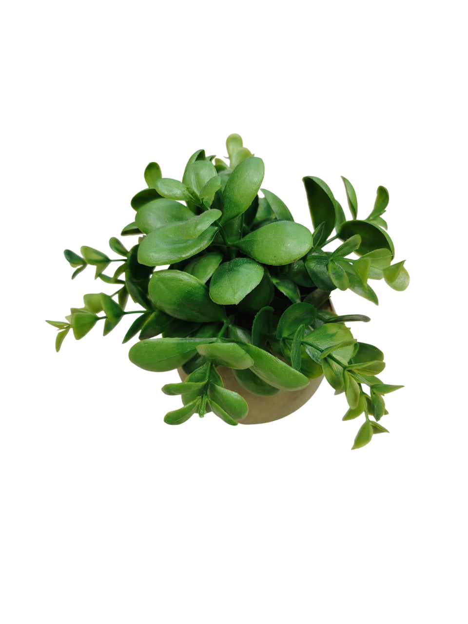 Plante artificielle, H15CM