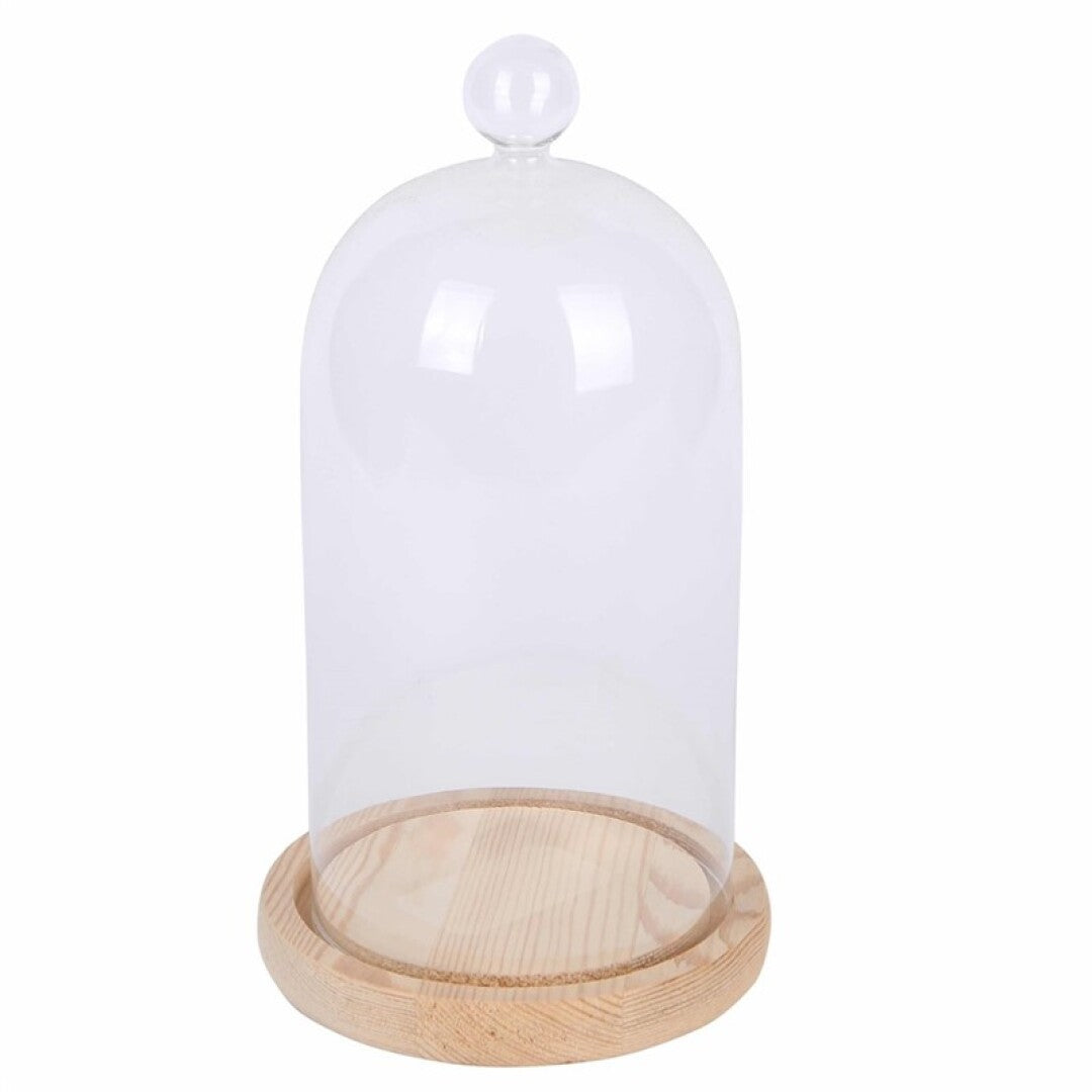 Cloche en verre YOKUSUKA avec base en bois H20CM