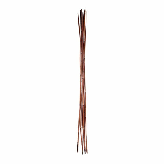 Bamboo couleur bois