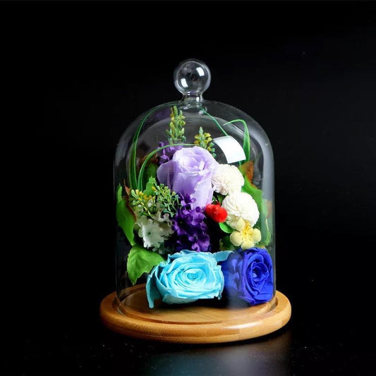 Cloche en verre YOKUSUKA avec base en bois H14CM