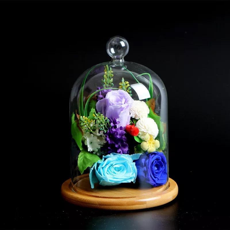 Cloche en verre YOKUSUKA avec base en bois H20CM