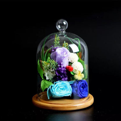 Cloche en verre YOKUSUKA avec base en bois H20CM