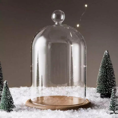 Cloche en verre YOKUSUKA avec base en bois H20CM