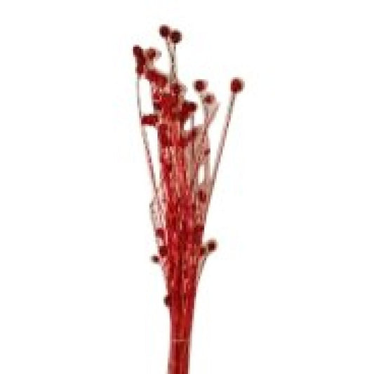 Bouquet de brindilles séché et emballé, 50g, H60-75 cm
