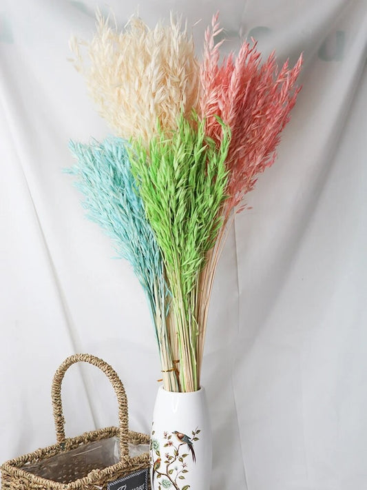 Bouquet d'avoine séché et emballé, 100g, H60-75cm