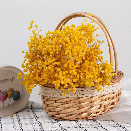 Bouquet de gypsophile séché et emballé, 100g, H75cm