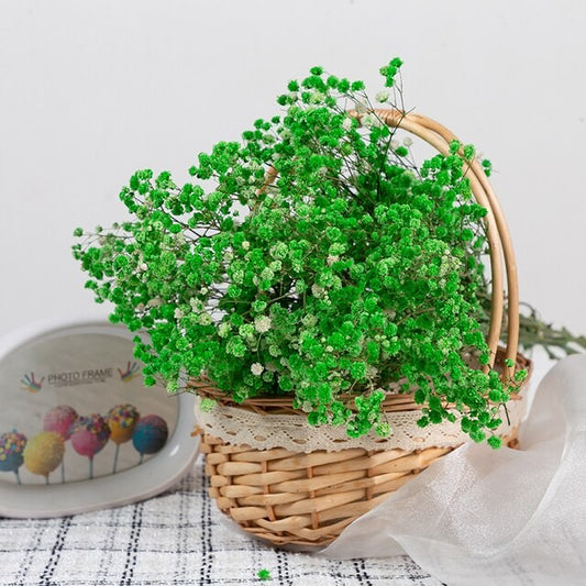 Bouquet de gypsophile séché et emballé, 100g, H75cm
