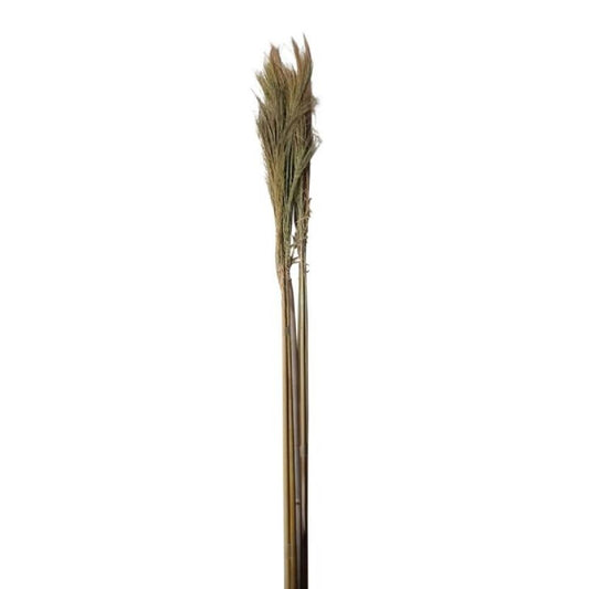 Brindilles séchées jaune 100 cm